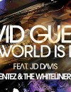 David Guetta – The World is mine (David Puentez meets The Whiteliner Bootleg) (with Video)