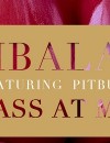 Timbaland feat. David Guetta & Pitbull – Pass At Me (with Video)