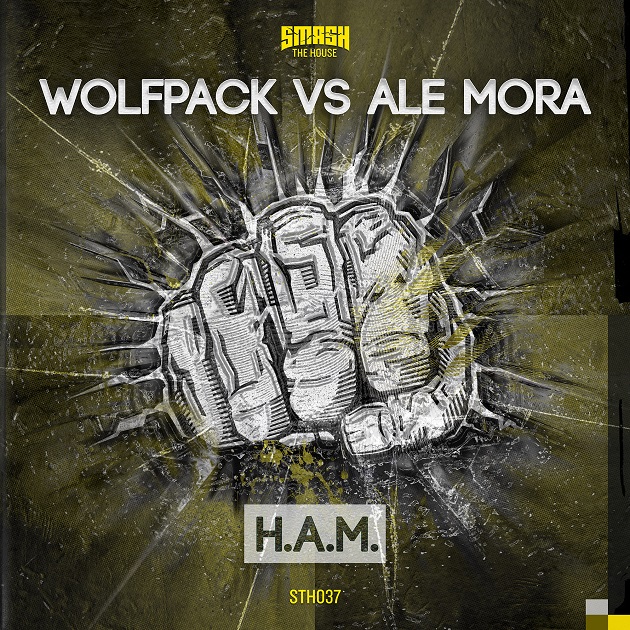 Wolfpack & Ale Mora - H.A.M. Cover