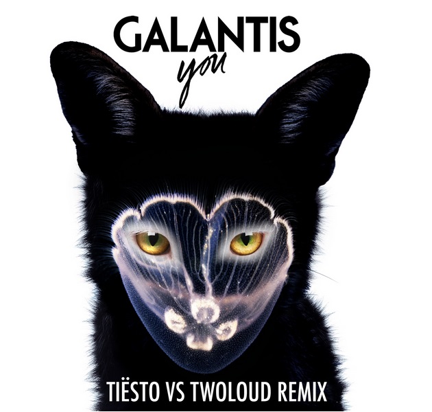 Galantis - You (Tiesto Vs. Twoloud Remix)